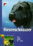 Riesenschnauzer, Kaufen bei Amazon