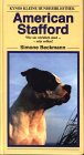 American Staffordshire Terrier