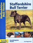 American Staffordshire Terrier