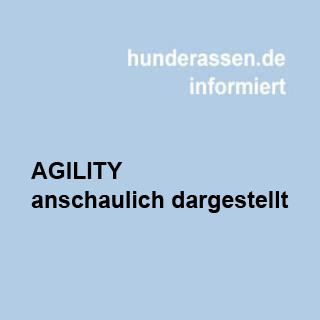 Agilty mit Hunden, ein Hundesport für die Fitness von Halter und Hund