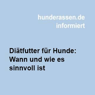Erfahren Sie, wann spezielles Diätfutter für Hunde notwendig ist und worauf beim Kauf zu achten ist.