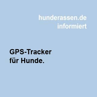 GPS Tracker für Hunde: Ein Must-Have für die Sicherheit Ihres Vierbeiners