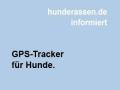 GPS Tracker für Hunde.