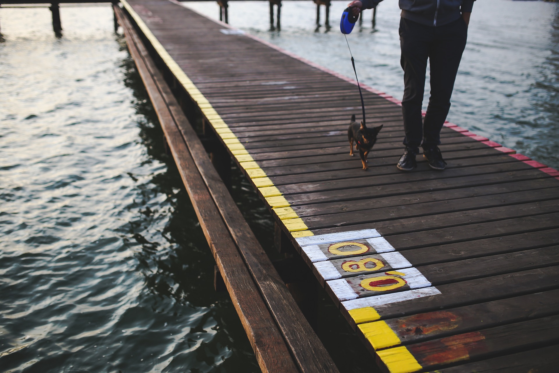 Wandern mit dem Hund