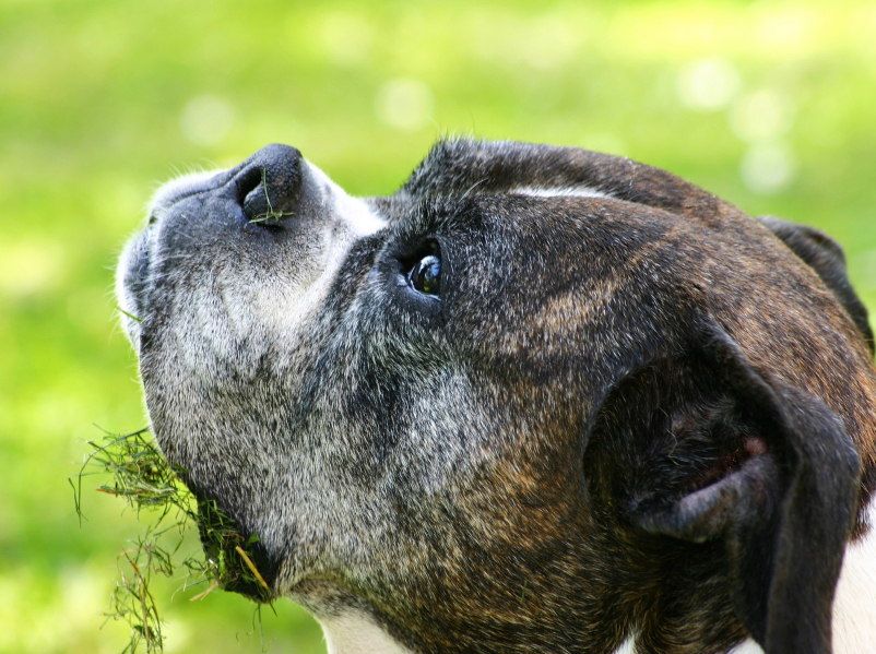 Bild 1: Â©istock.com/deepblue4you
