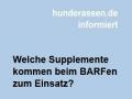 Welche Supplemente kommen beim BARFen zum Einsatz?